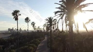 从高大的棕榈树可以看到洛杉矶市中心